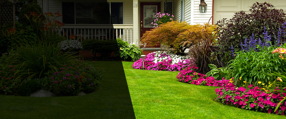 Elko Landscapers