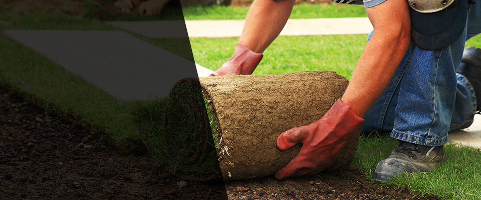 Elko Landscapers